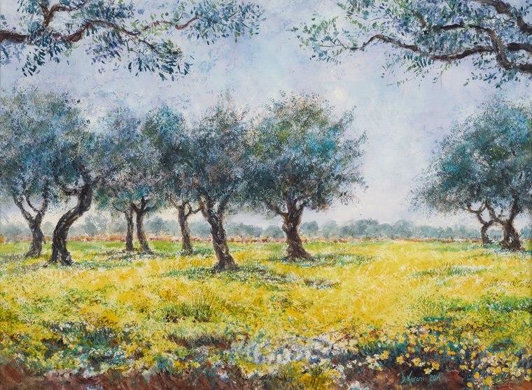 Olive Grove