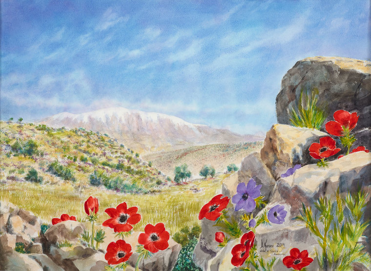 Jabal el Sheikh & Anemones