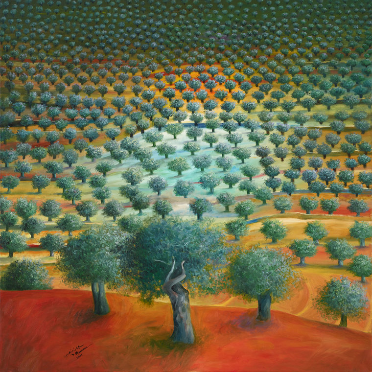 Olive Tree Grove