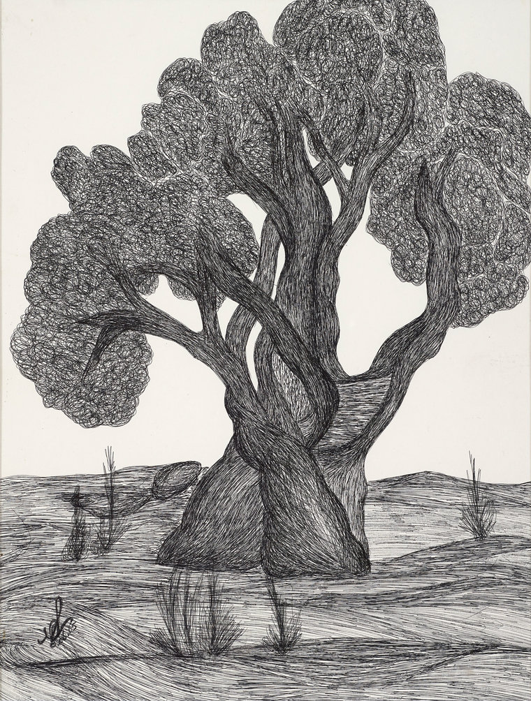 Olive Tree