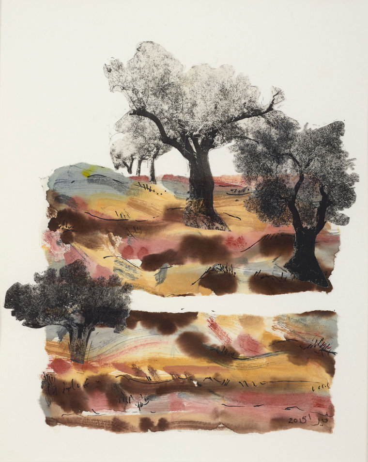 New Olive Tree (2)