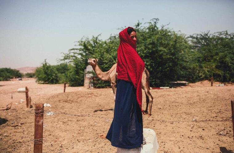 Ansam And A Camel